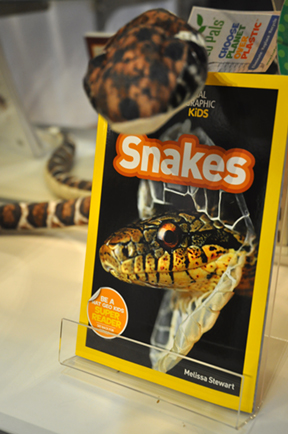 Toys and books about snakes